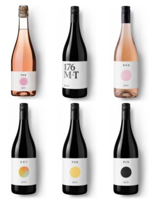 Probierpaket Bunt